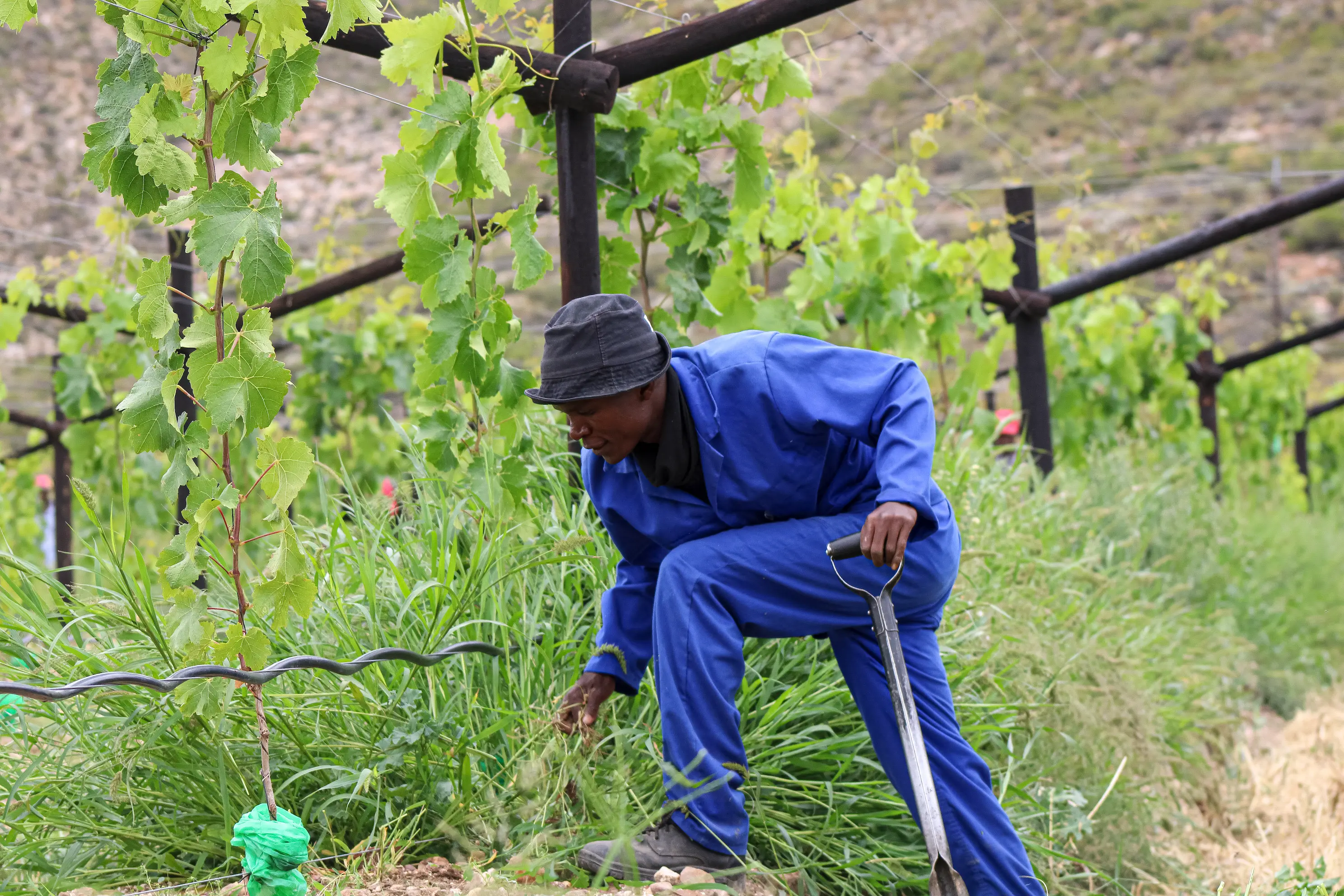 Medium Term Development Funding